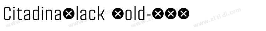 CitadinaBlack Bold字体转换